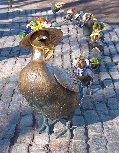 ducks-on-parade-mothers-day-stroll-scaled