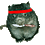 CombatWombat